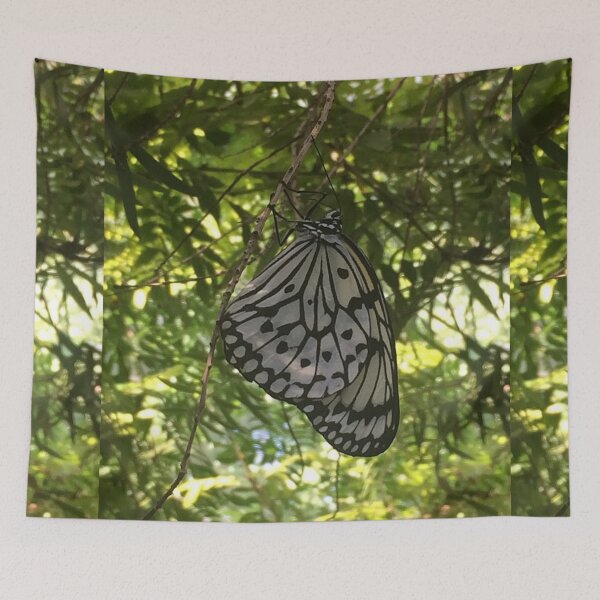Item preview, Butterfly, REAL photograph designed and sold by GiSilver.