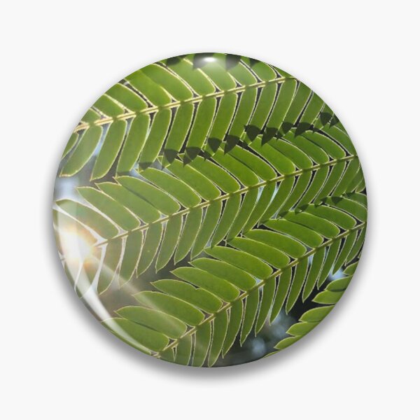 Item preview, Leaves with sunspark, REAL photograph designed and sold by GiSilver.
