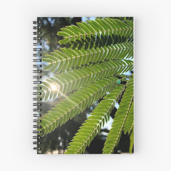 Item preview, Leaves with sunspark, REAL photograph designed and sold by GiSilver.