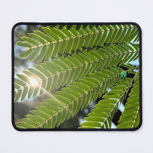 Item preview, Leaves with sunspark, REAL photograph designed and sold by GiSilver.