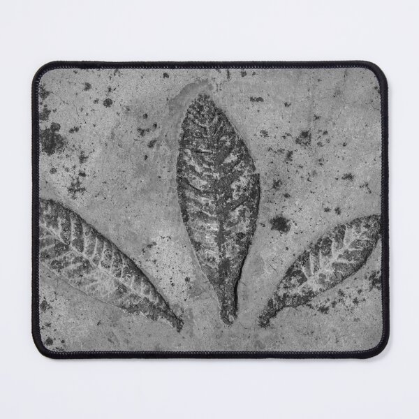 Item preview, Three Leaf Imprints In Weathered Concrete Texture, Monochrome Botanical Pattern designed and sold by Nmallia.
