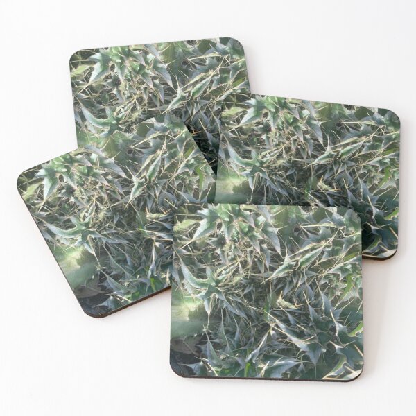Item preview, wild plant in the south designed and sold by toothpirate.
