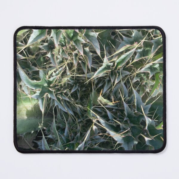 Item preview, wild plant in the south designed and sold by toothpirate.