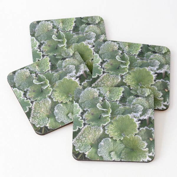 Item preview, frosted ground plant ky designed and sold by toothpirate.