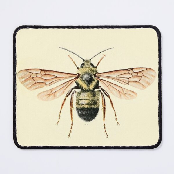 Item preview, Antique Botanical Bee Illustration designed and sold by footnotes-club.