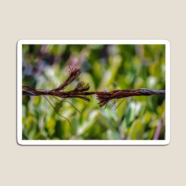 Item preview, Close-Up Of Frayed Rusty Wire Rope Breaking Under Tension Against Green Blurred Background designed and sold by Nmallia.