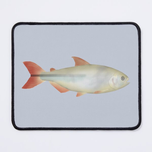 Item preview, Camapuã designed and sold by fishfolkart.