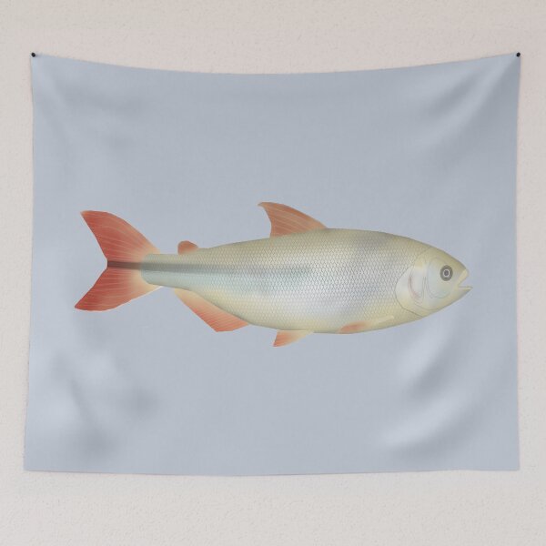 Item preview, Camapuã designed and sold by fishfolkart.