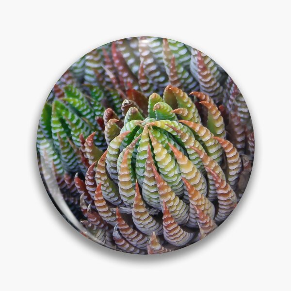 Item preview, Prickly Pear Succulent designed and sold by heatherfriedman.