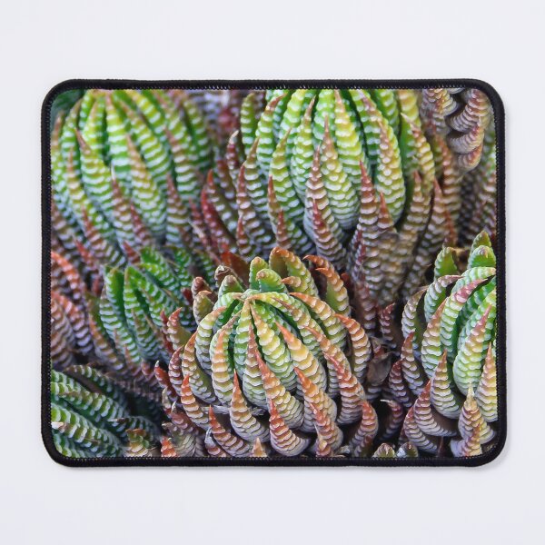 Item preview, Prickly Pear Succulent designed and sold by heatherfriedman.