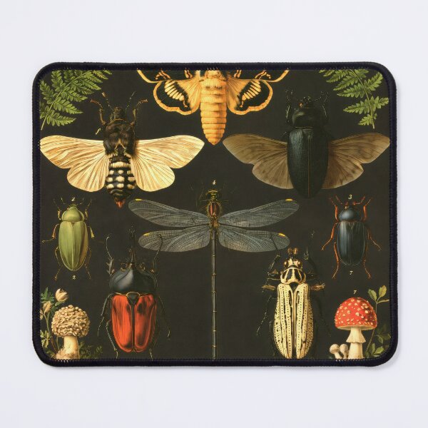 Item preview, T-shirt: Vintage Entomology Plate II – Lepidoptera & Coleoptera designed and sold by ForeverPrintsOK.