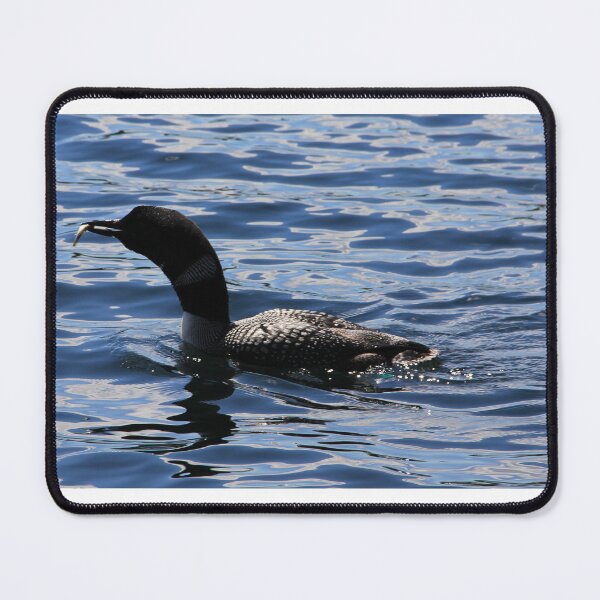 Item preview, Loon With Fish Lunch designed and sold by TiffanySpaulding.
