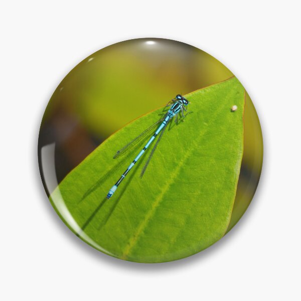 Item preview, Male Common Blue Damselfly on a Pond Lilly Leaf designed and sold by StelleryART.