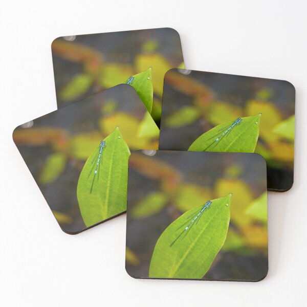 Item preview, Male Common Blue Damselfly on a Pond Lilly Leaf designed and sold by StelleryART.