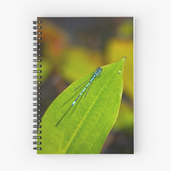 Item preview, Male Common Blue Damselfly on a Pond Lilly Leaf designed and sold by StelleryART.