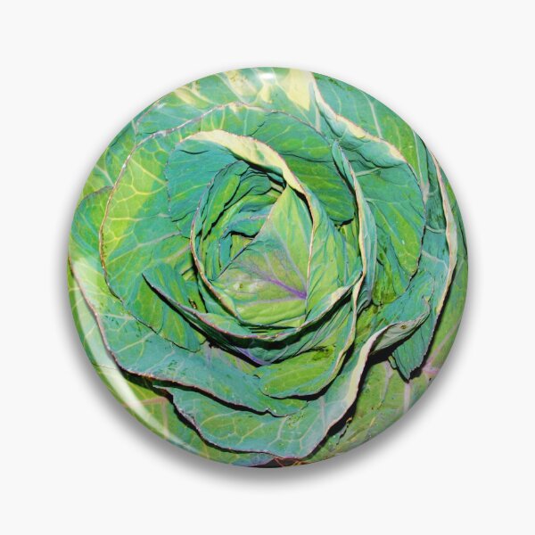 Item preview, Cabbage beauty designed and sold by B. Randi Bailey.