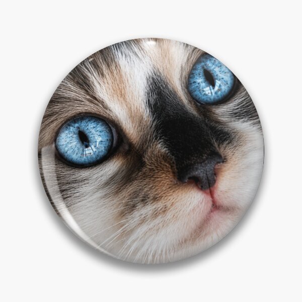 Item preview, Soulful Blue Eyes | Luxury Long-Haired Cat Portrait designed and sold by Kimberly Palmer.