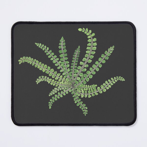 Item preview, Maidenhair Spleenwort designed and sold by XWarren.