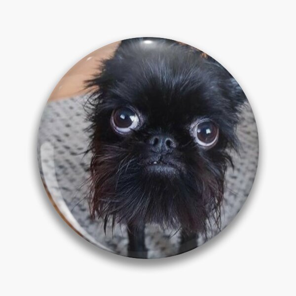 Item preview, Ratty black flat faced dog designed and sold by Ratcatdoggg.