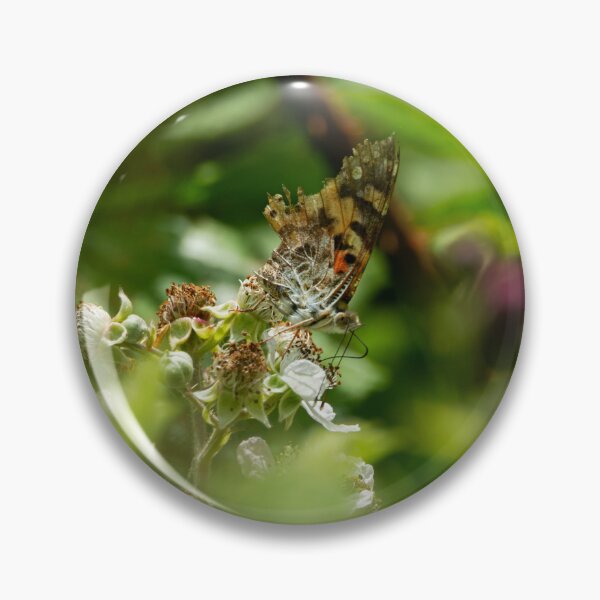 Item preview, A very tatty Red Admiral butterfly feeding on Bramble flowers designed and sold by StelleryART.