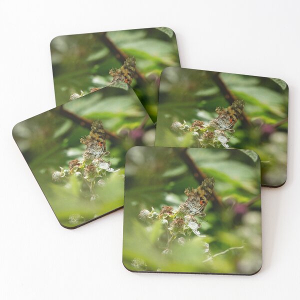 Item preview, A very tatty Red Admiral butterfly feeding on Bramble flowers designed and sold by StelleryART.