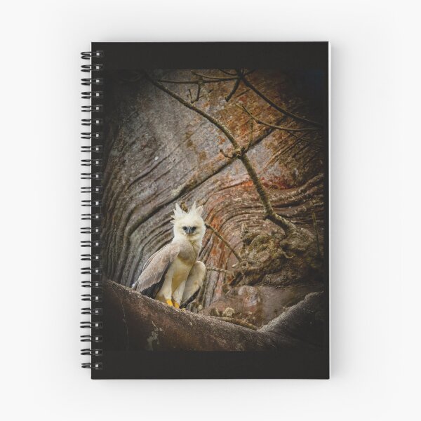 Item preview, Juvenile Harpy Eagle  designed and sold by Shannon Emmel .