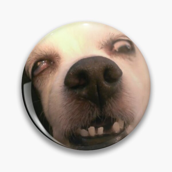 Item preview, Funny ugly sleeping white dog designed and sold by Ratcatdoggg.