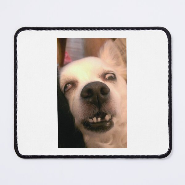 Item preview, Funny ugly sleeping white dog designed and sold by Ratcatdoggg.