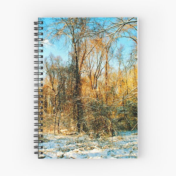 Item preview, Winter Woodland, Forest Clearing with Snow designed and sold by AMacGPhilly.
