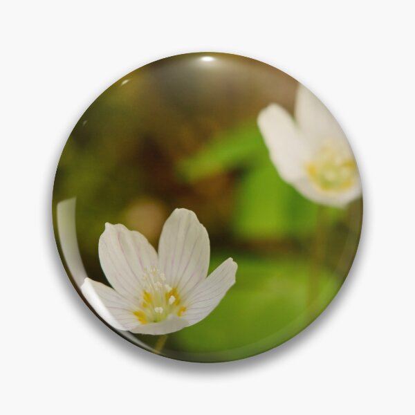 Item preview, Fox bread. Wood-sorrel 2026 designed and sold by Jouko Lehto Photography.
