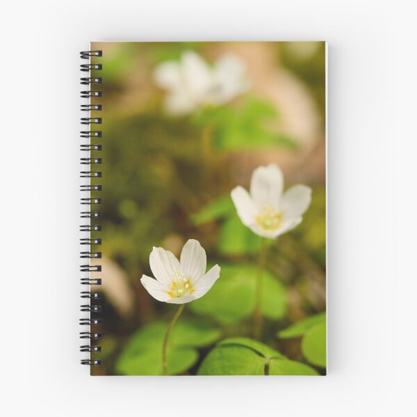 Item preview, Fox bread. Wood-sorrel 2026 designed and sold by Jouko Lehto Photography.