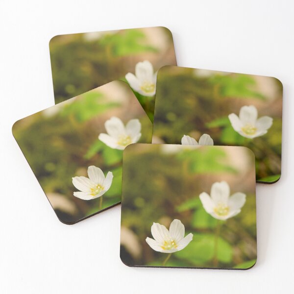 Item preview, Fox bread. Wood-sorrel 2026 designed and sold by Jouko Lehto Photography.