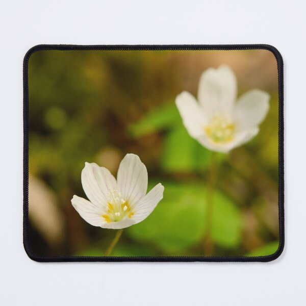 Item preview, Fox bread. Wood-sorrel 2026 designed and sold by Jouko Lehto Photography.