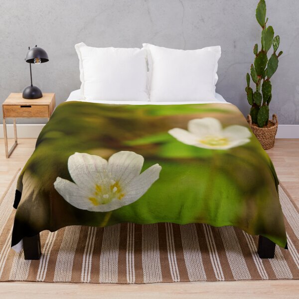 Item preview, Fox bread. Wood-sorrel 2026 designed and sold by Jouko Lehto Photography.