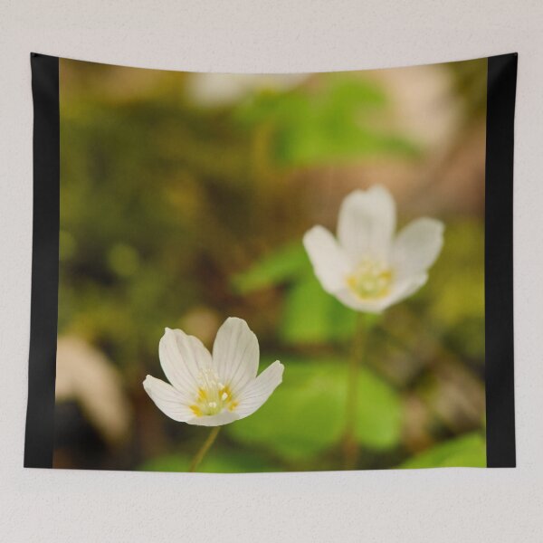 Item preview, Fox bread. Wood-sorrel 2026 designed and sold by Jouko Lehto Photography.
