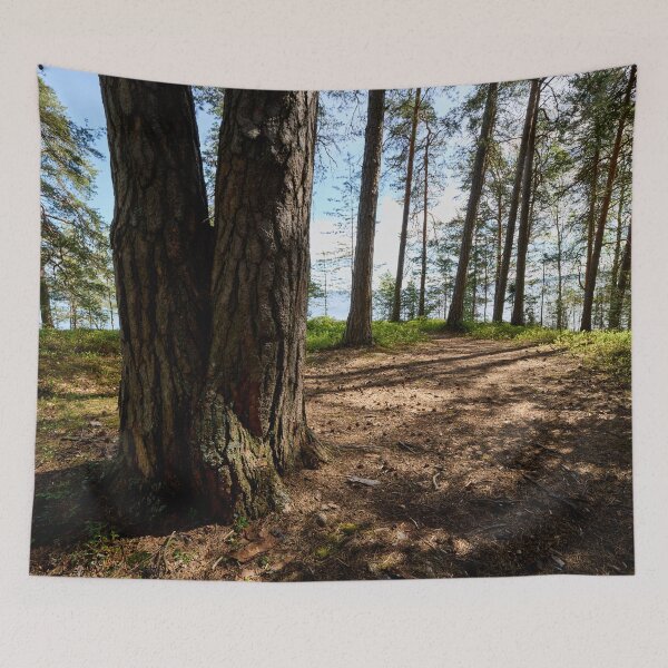 Artikelvorschau, Die Kiefer von Reuharinniemi entworfen und verkauft von Jouko Lehto Photography.