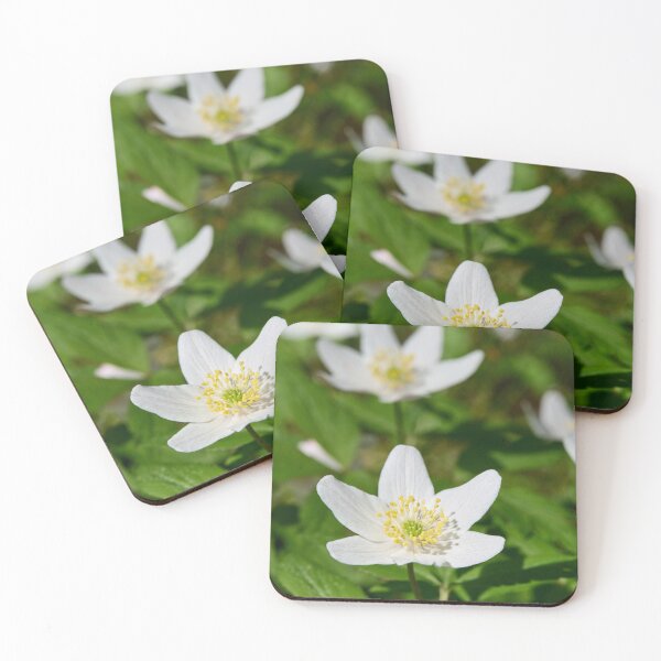 Item preview, Spring flowers. Wood Anemone 2026 designed and sold by Jouko Lehto Photography.