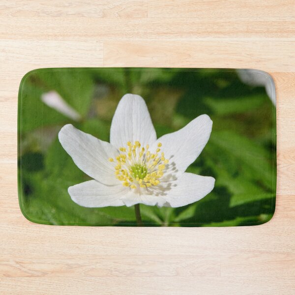 Item preview, Spring flowers. Wood Anemone 2026 designed and sold by Jouko Lehto Photography.