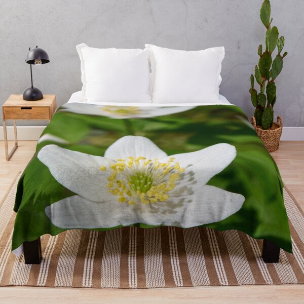 Item preview, Spring flowers. Wood Anemone 2026 designed and sold by Jouko Lehto Photography.