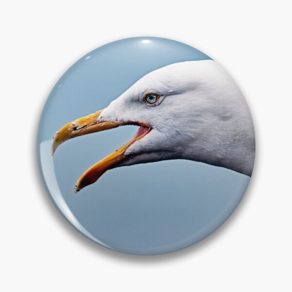Item preview, Study Of A Herring Gull designed and sold by Tom McPherson Photography.