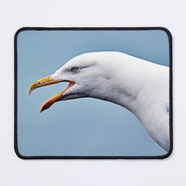 Item preview, Study Of A Herring Gull designed and sold by Tom McPherson Photography.