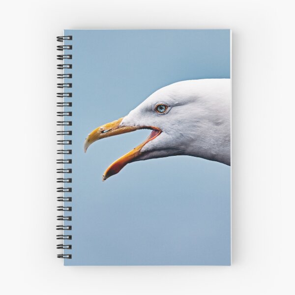 Item preview, Study Of A Herring Gull designed and sold by Tom McPherson Photography.