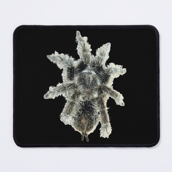 Item preview, Curly Haired Tarantula designed and sold by ArtByKevG.