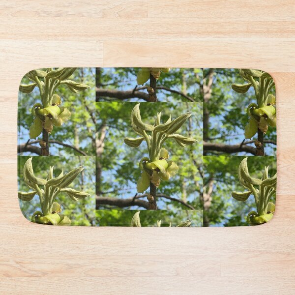Item preview, Unfurling Leaves, real photograph designed and sold by GiSilver.