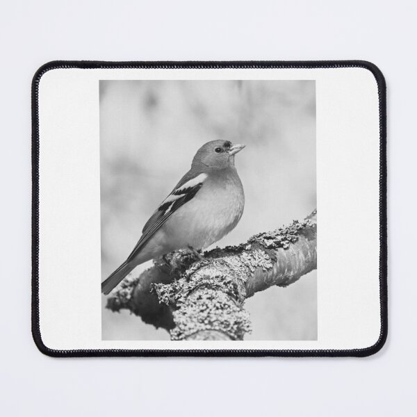 Item preview, Chaffinch Perched On Lichen designed and sold by milesmorarst.
