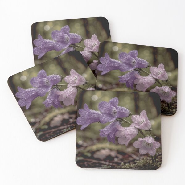 Item preview, Forest Bells After Rain Purple Wildflowers - Woodland Botanical Macro Photography - Rain Drops Moody Nature Print - Enchanted Spring Wildflower Gift designed and sold by WitchyBotanicaArt.