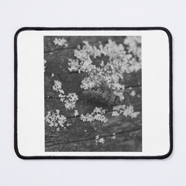 Item preview, Fly Resting On Lichen designed and sold by milesmorarst.