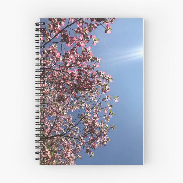 Item preview, Pink Dogwoods, REAL photograph designed and sold by GiSilver.