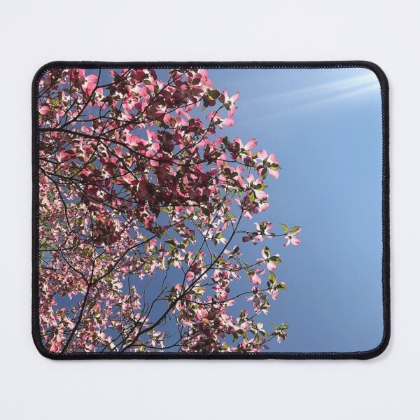 Item preview, Pink Dogwoods, REAL photograph designed and sold by GiSilver.