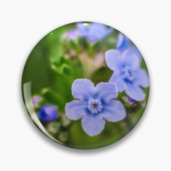 Item preview, Forget Me Not Flowers 1x1 designed and sold by PhotoArtbyGrace.